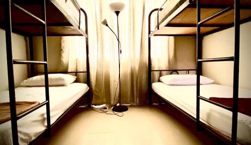 Bed in 8-Bed Mixed Dormitory Room