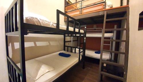 Single Bed in Mixed Dormitory Room